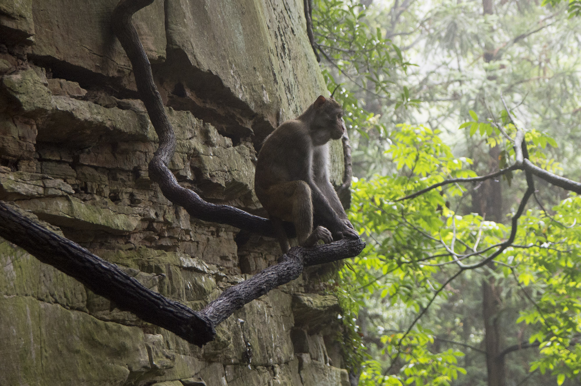 湖南·张家界自驾游