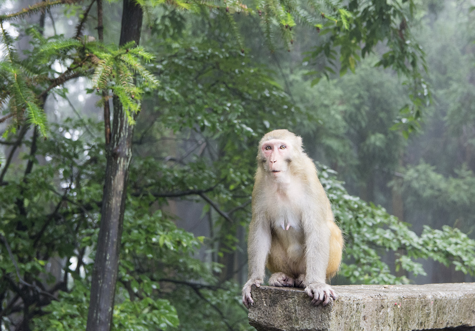 湖南·张家界自驾游