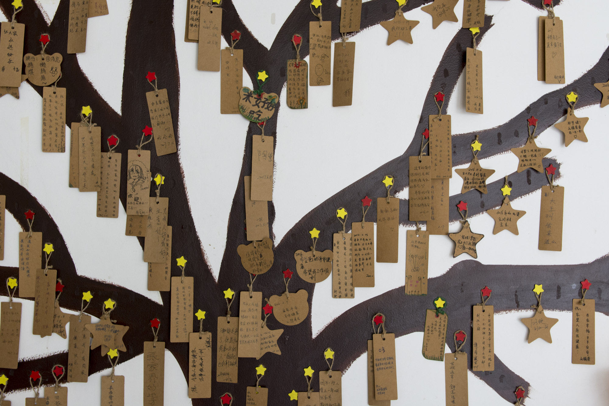 张家界 客栈墙上的许愿树