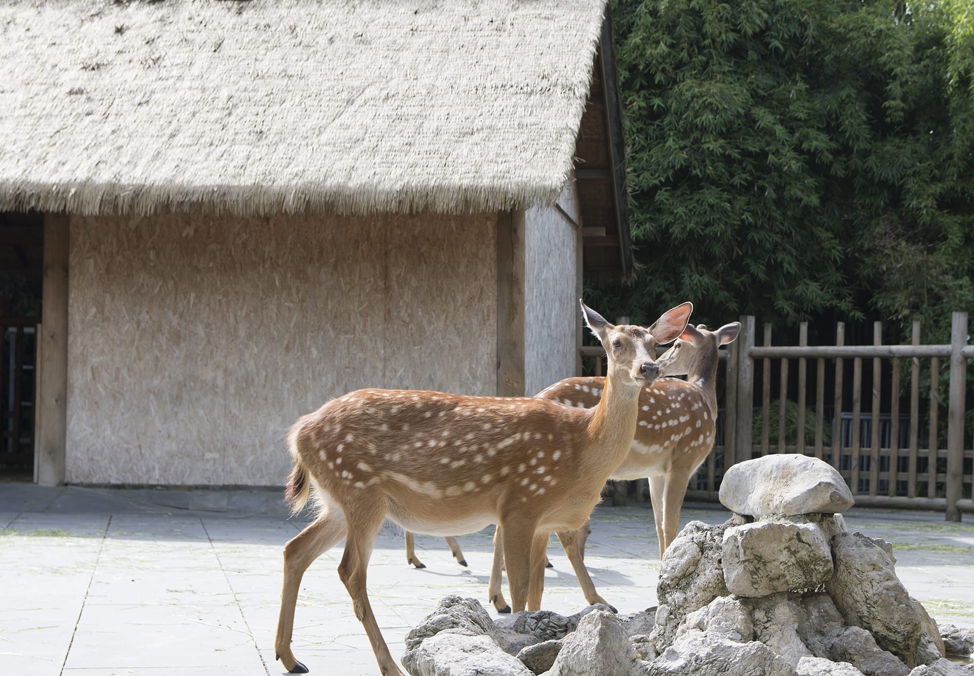 成都金沙遗址博物馆