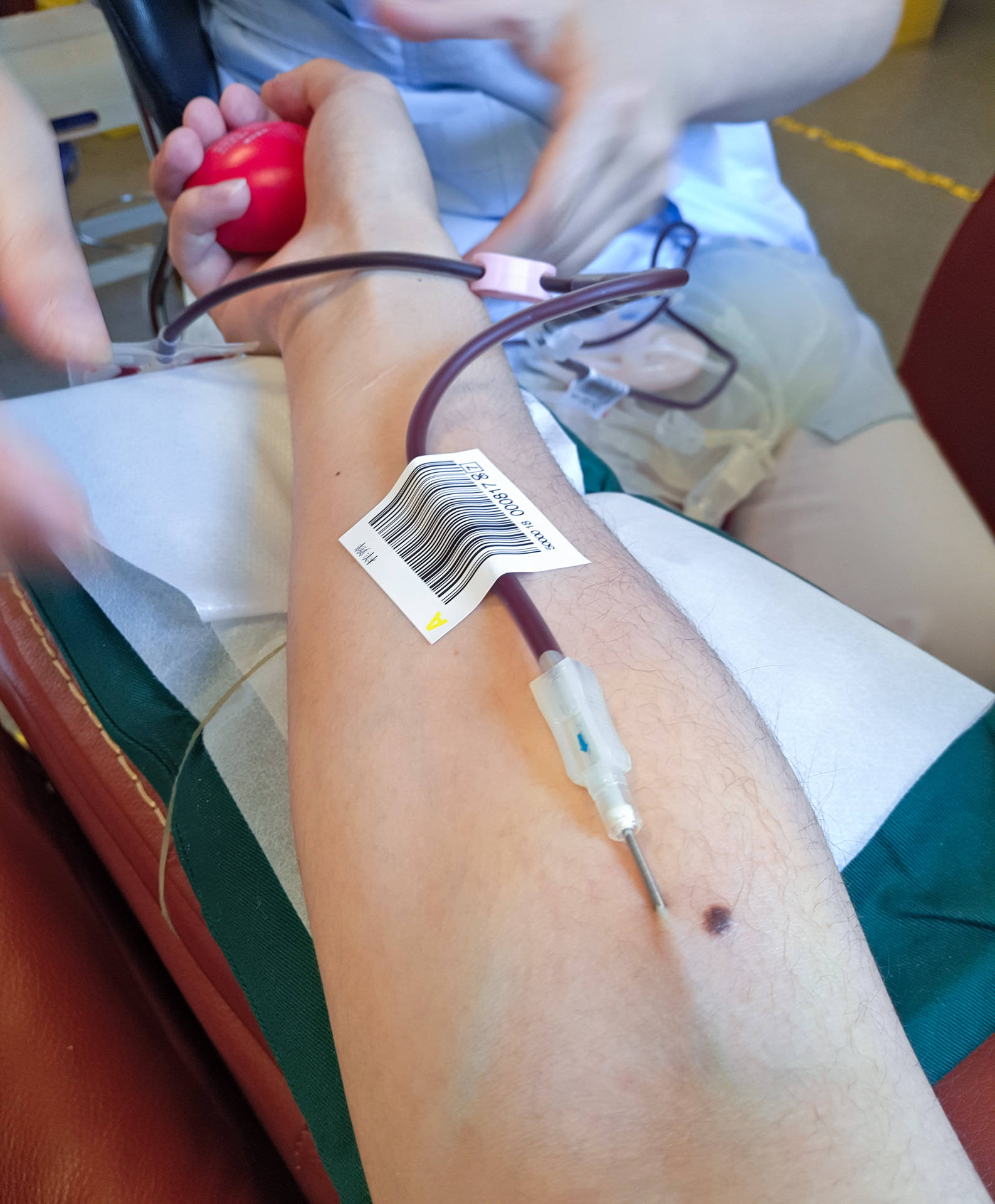 无偿献血我光荣