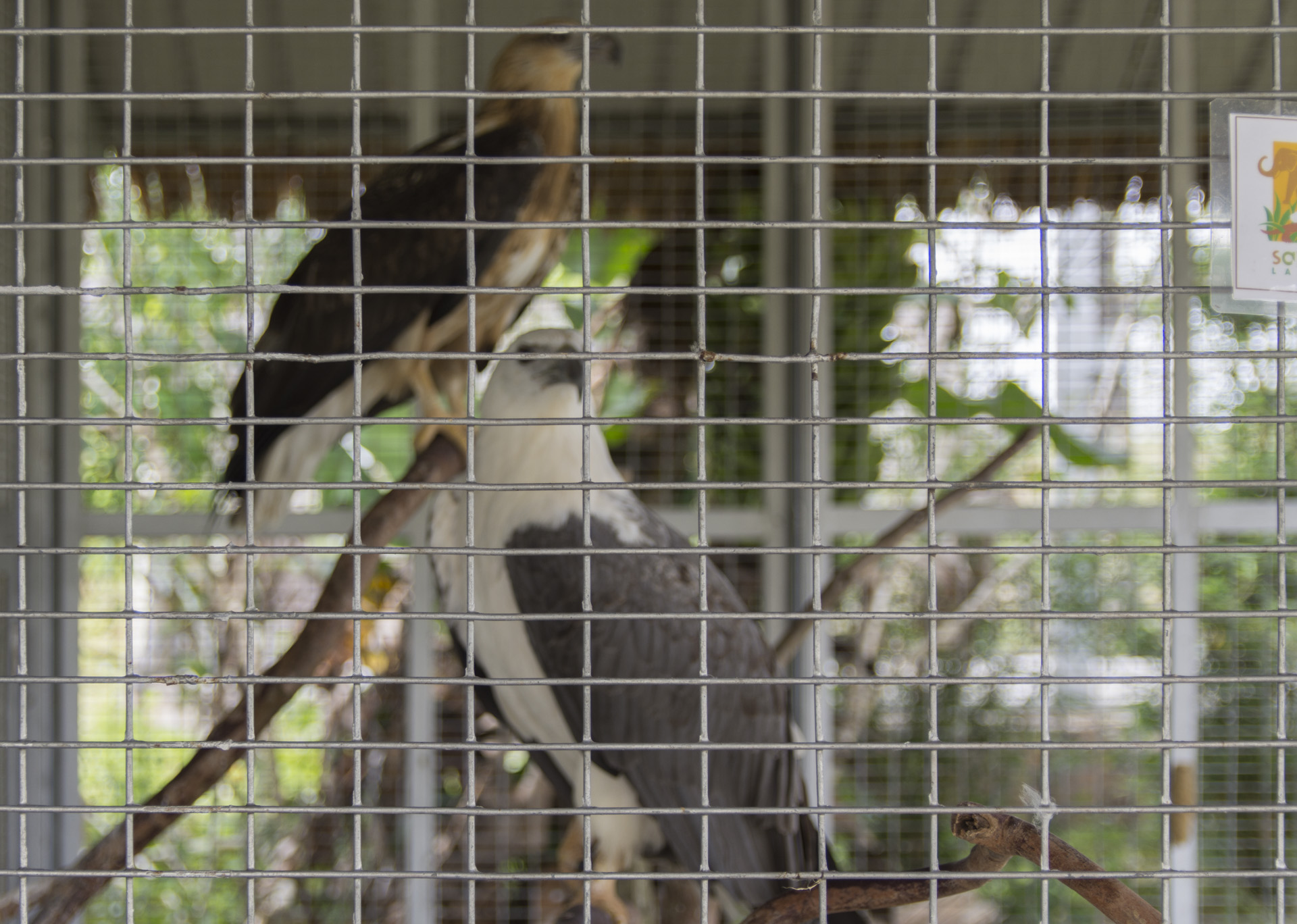 新加坡、印尼民丹岛六天五晚跟团游