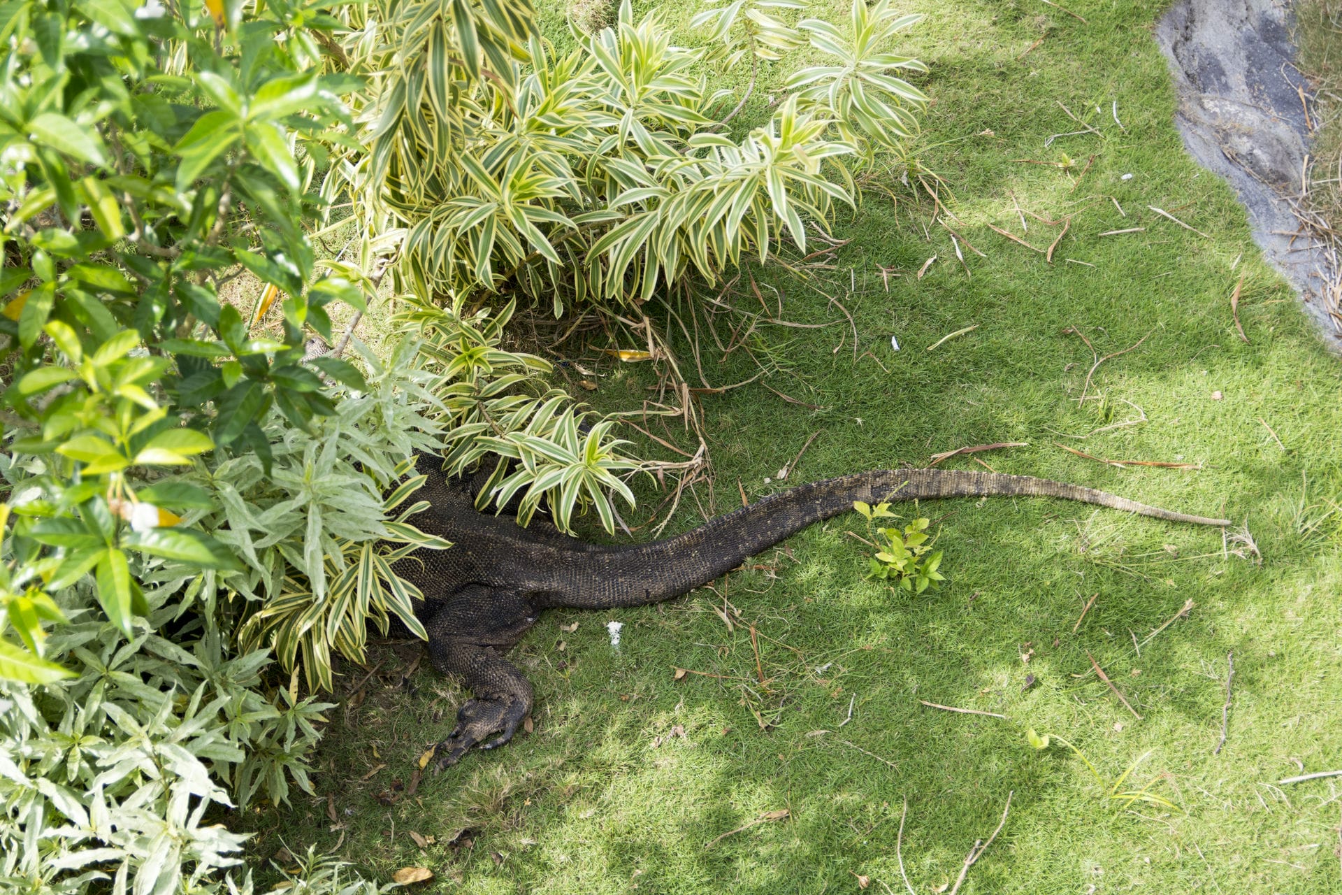 新加坡、印尼民丹岛六天五晚跟团游