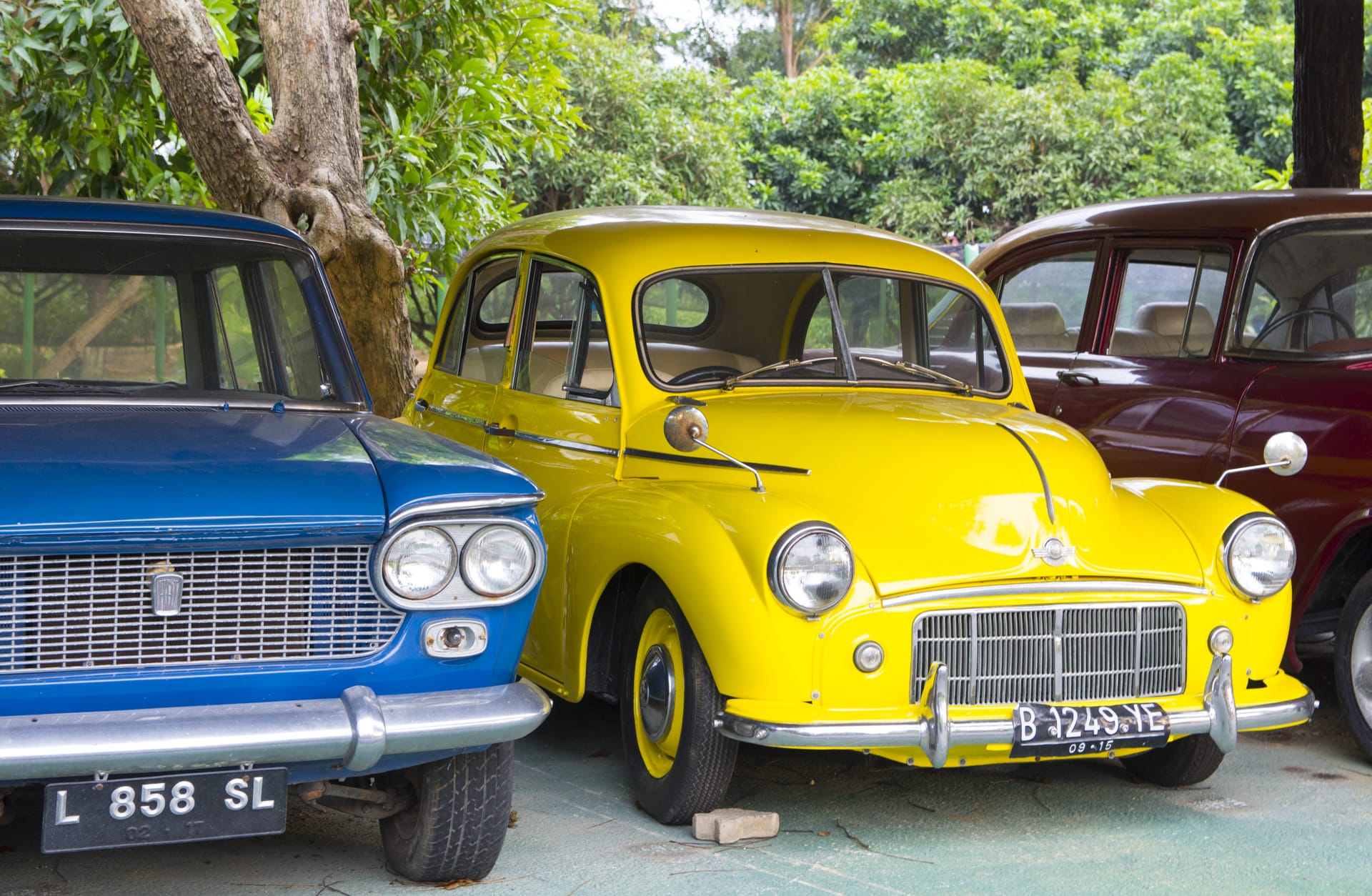 度假村里的老爷车展馆