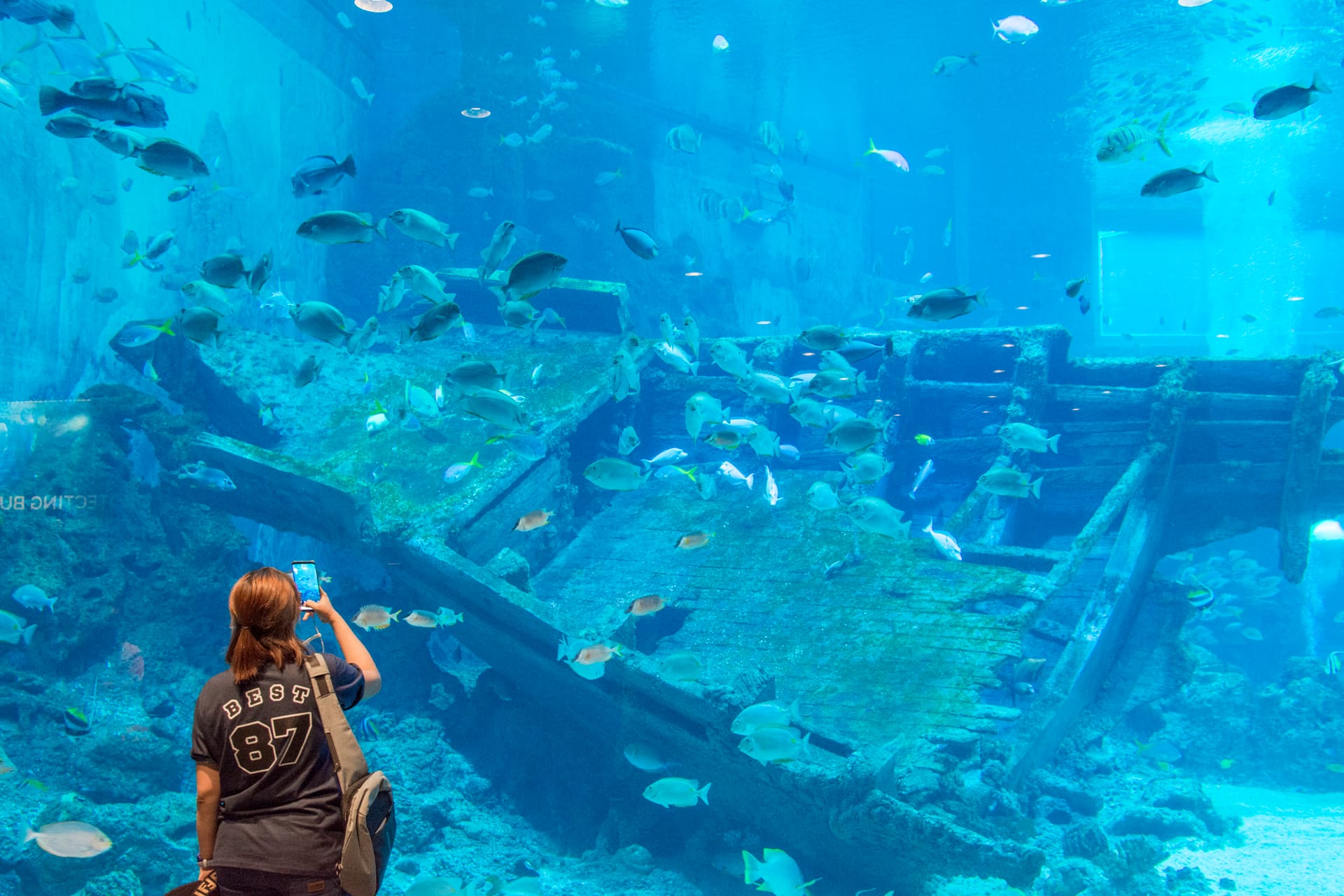 新加坡、印尼民丹岛六天五晚跟团游