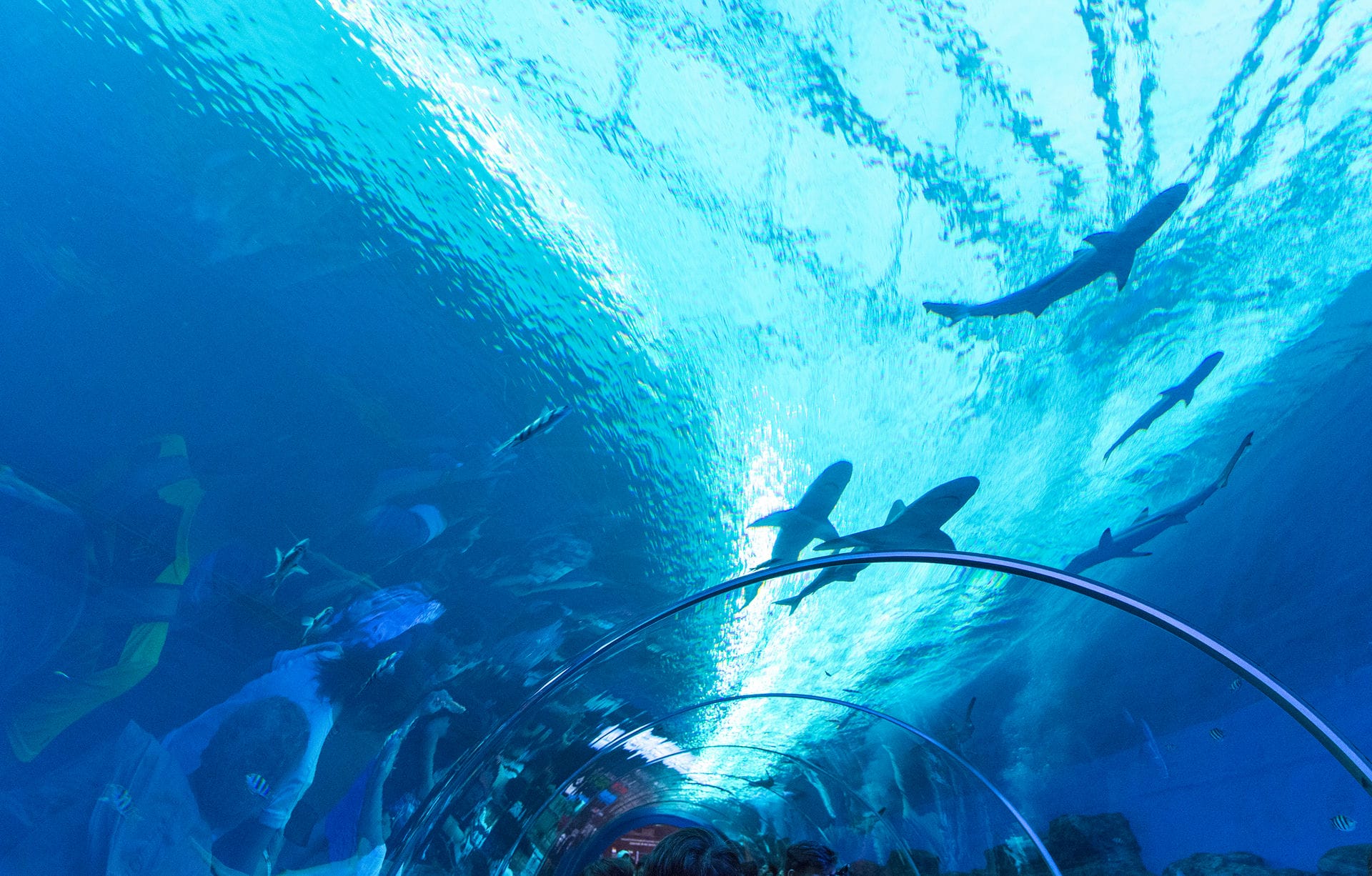 新加坡、印尼民丹岛六天五晚跟团游