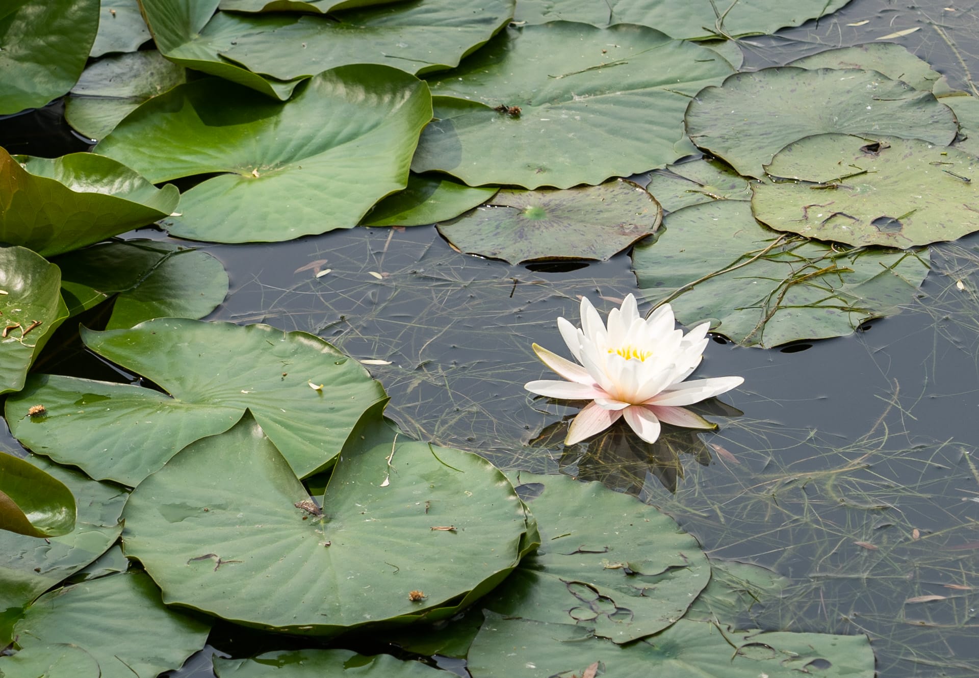 北京印象：紫禁城、颐和园、国家博物馆和太古里……