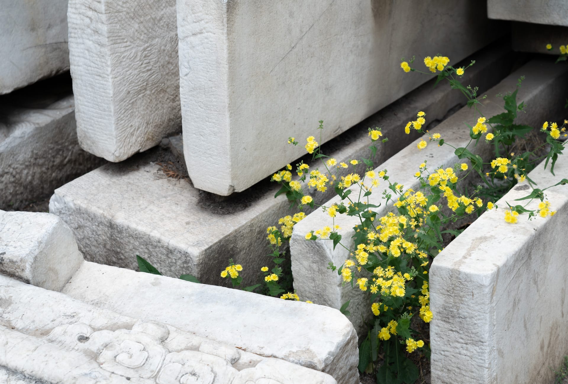 北京印象：紫禁城、颐和园、国家博物馆和太古里……