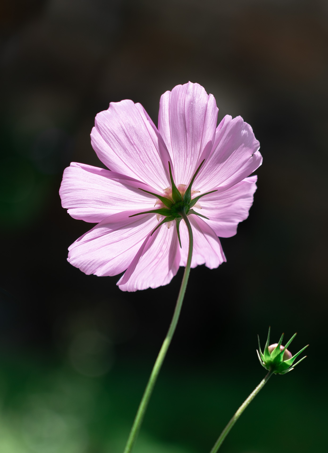 四川·阿坝藏族羌族自治州自驾游