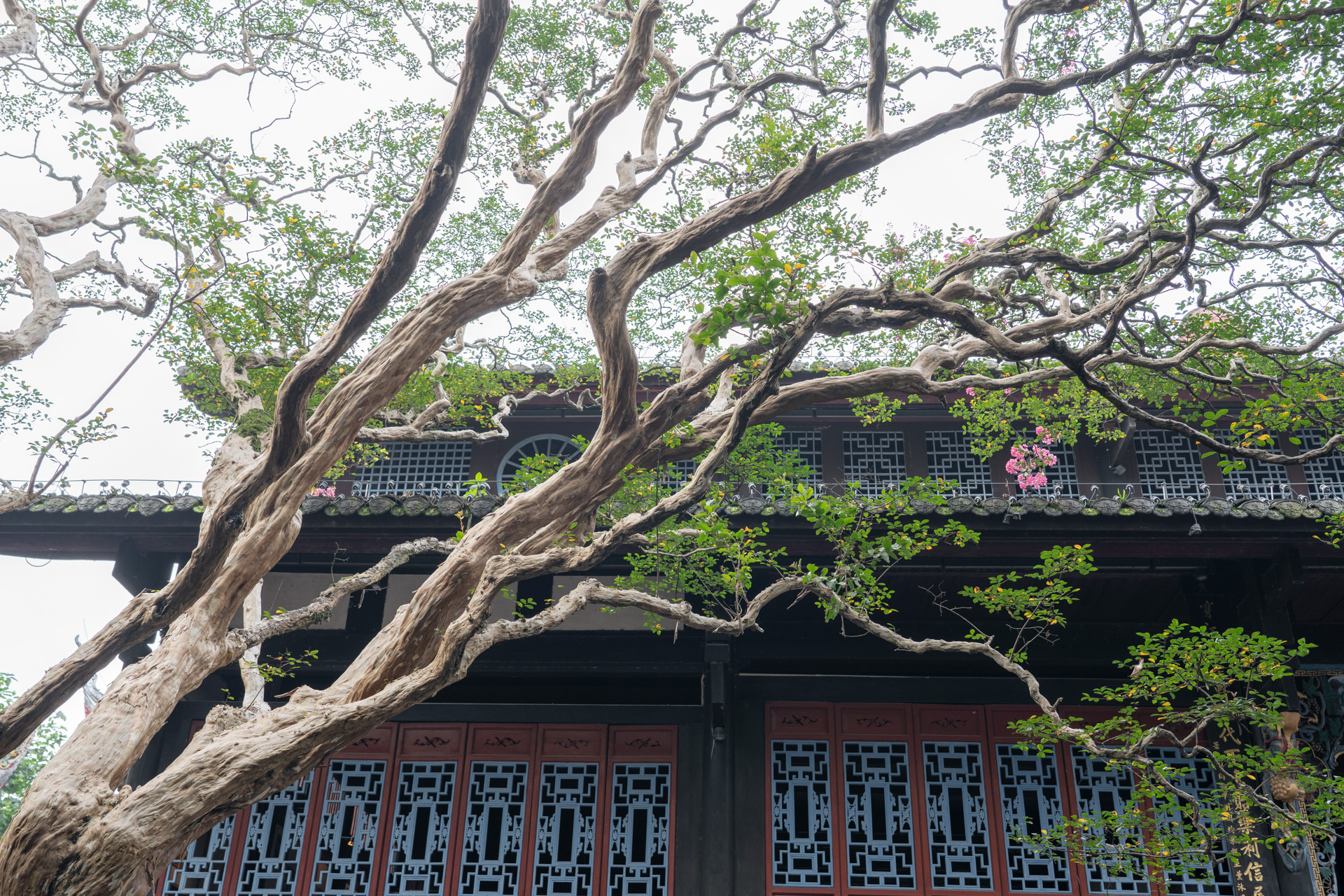 四川·阿坝藏族羌族自治州自驾游