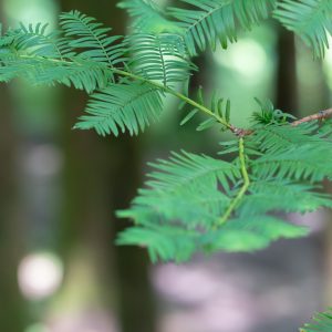 希望从不曾其我而去