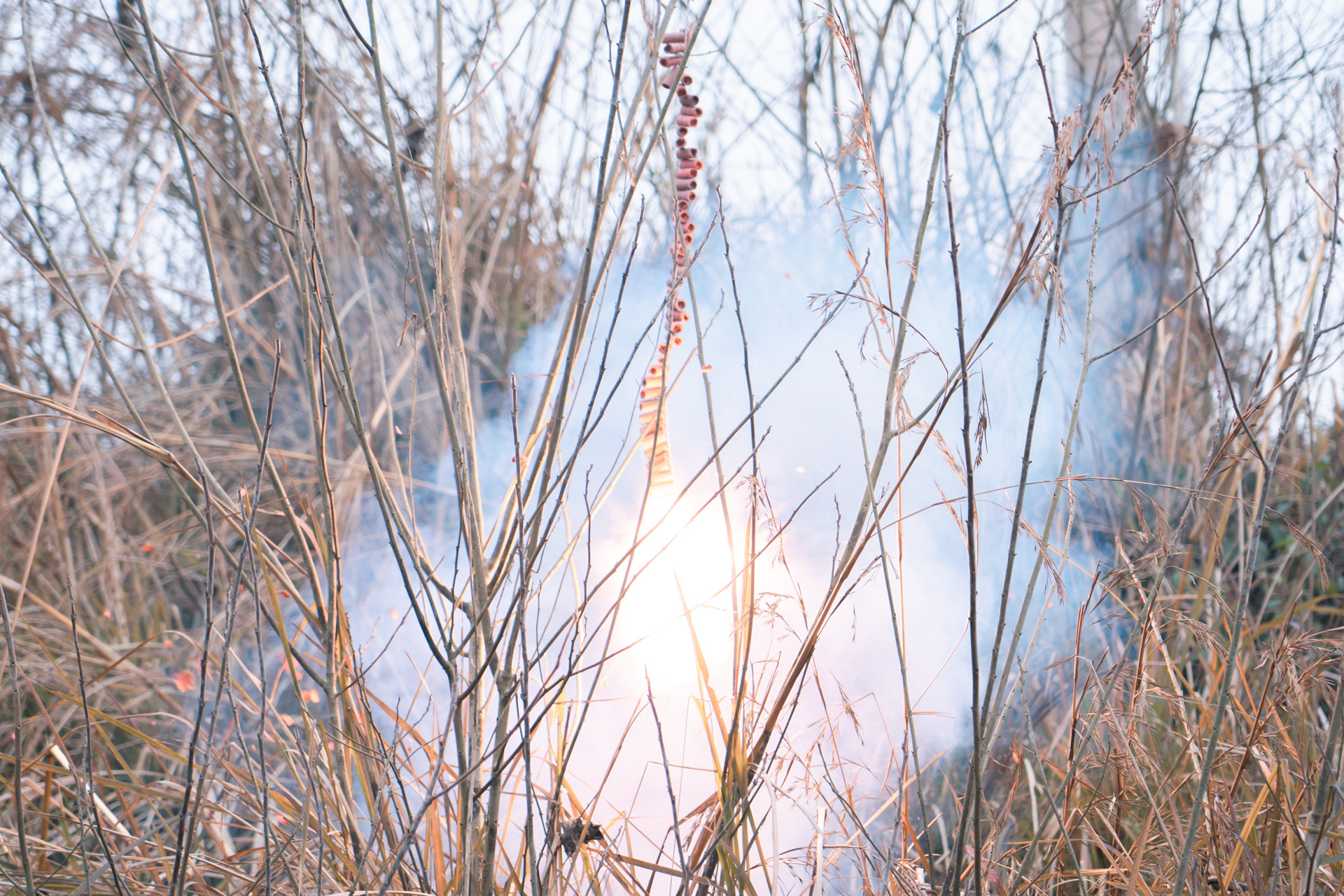 请回答二〇一九，也远望二零二零