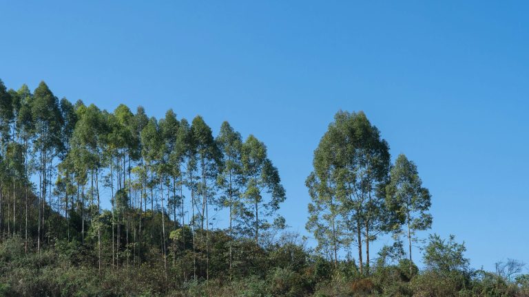 2020.11.14 渝北矿山公园-2