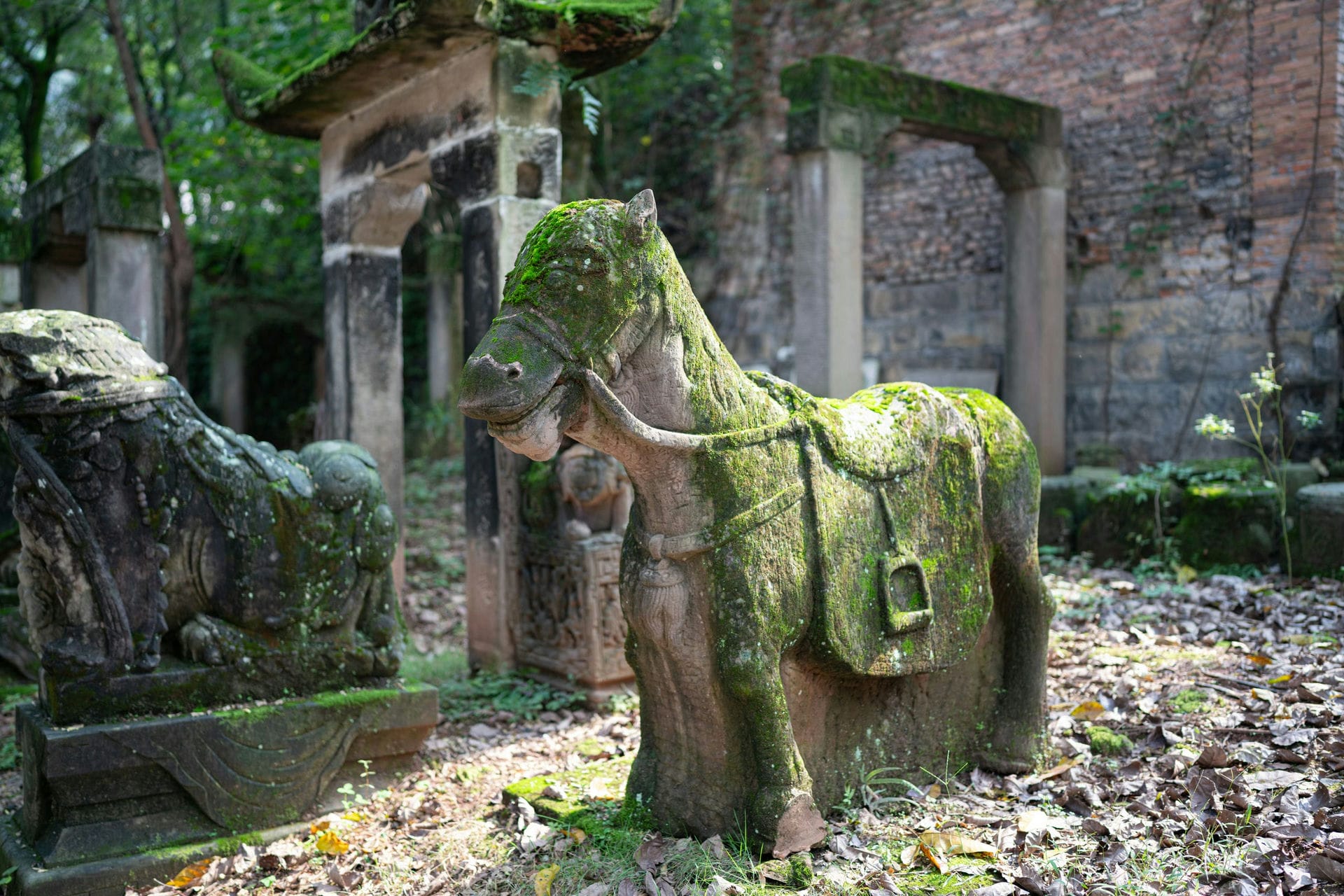 打卡被称为“重庆祖屋”的大圆祥博物馆