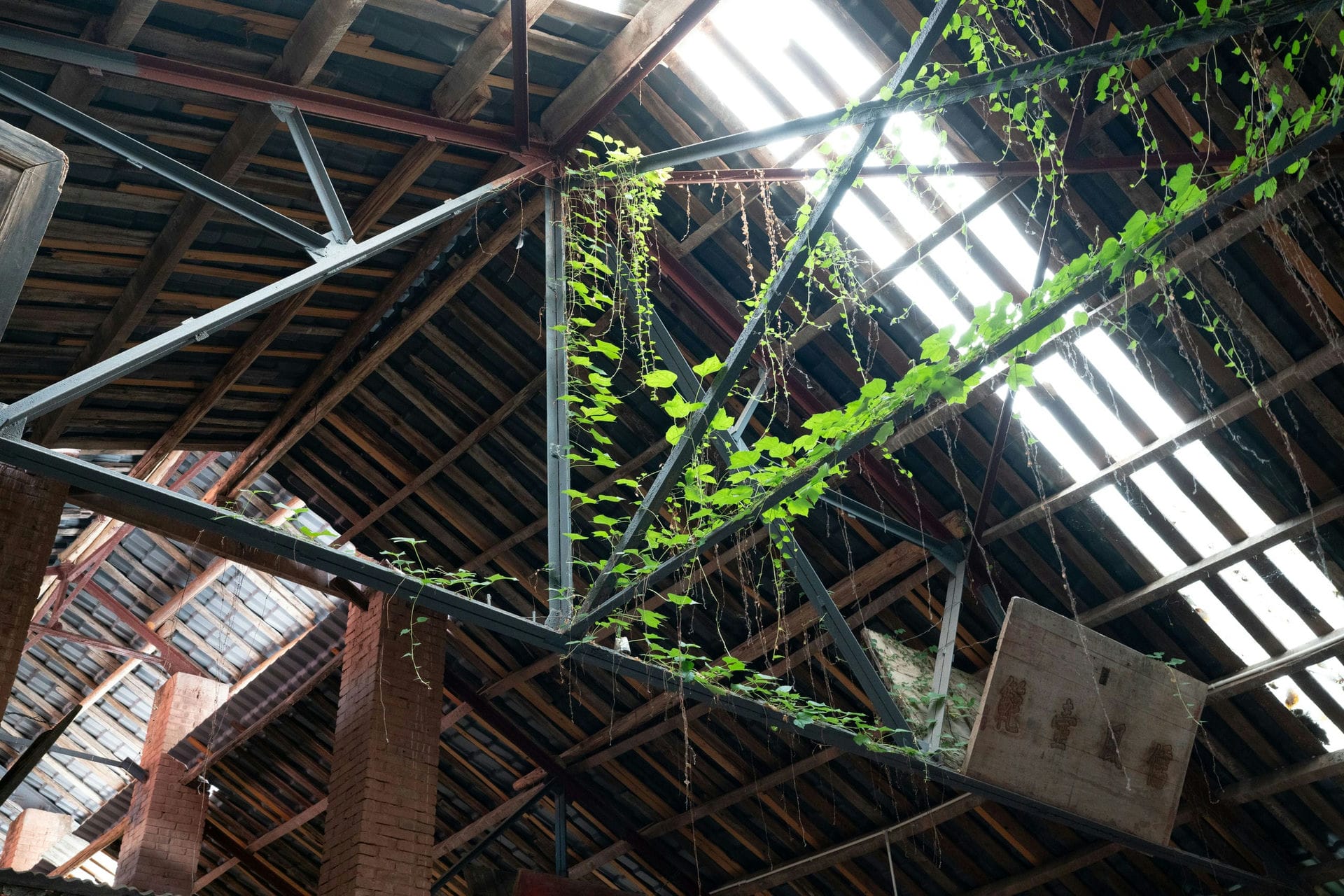 打卡被称为“重庆祖屋”的大圆祥博物馆