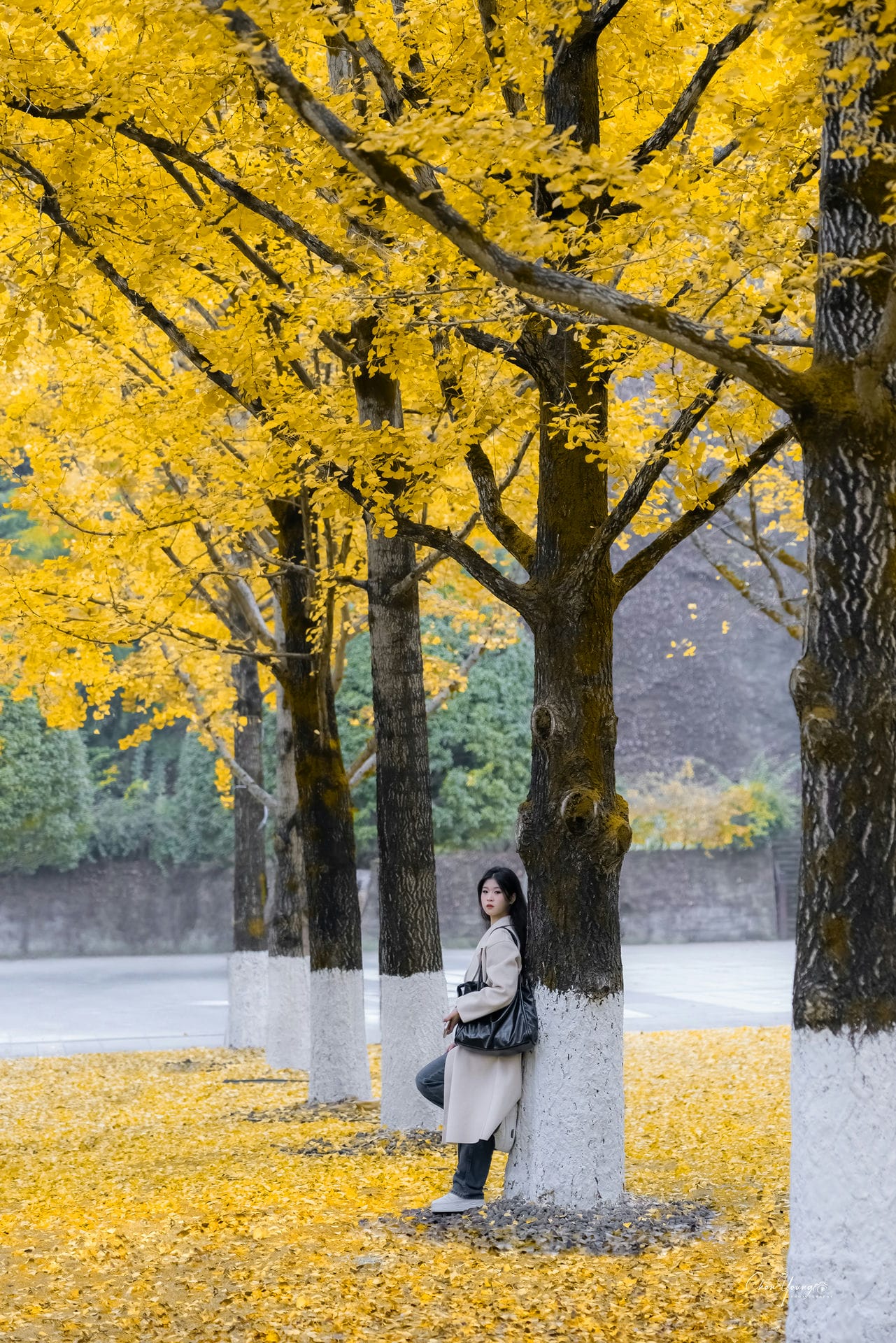 第一次约小姐姐拍照（互免约拍）