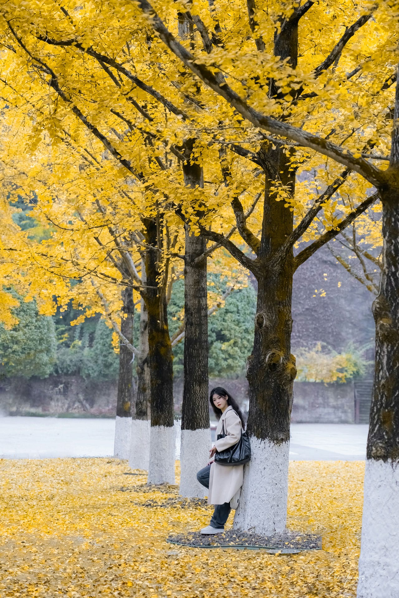 第一次约小姐姐拍照（互免约拍）