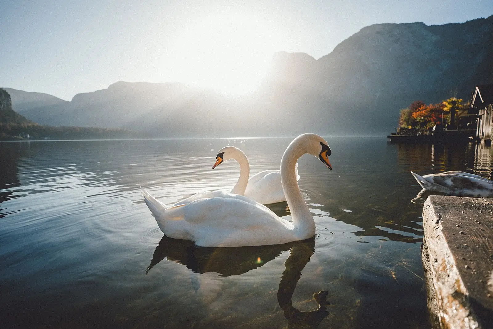 摄影师SamAlive风光摄影作品赏析