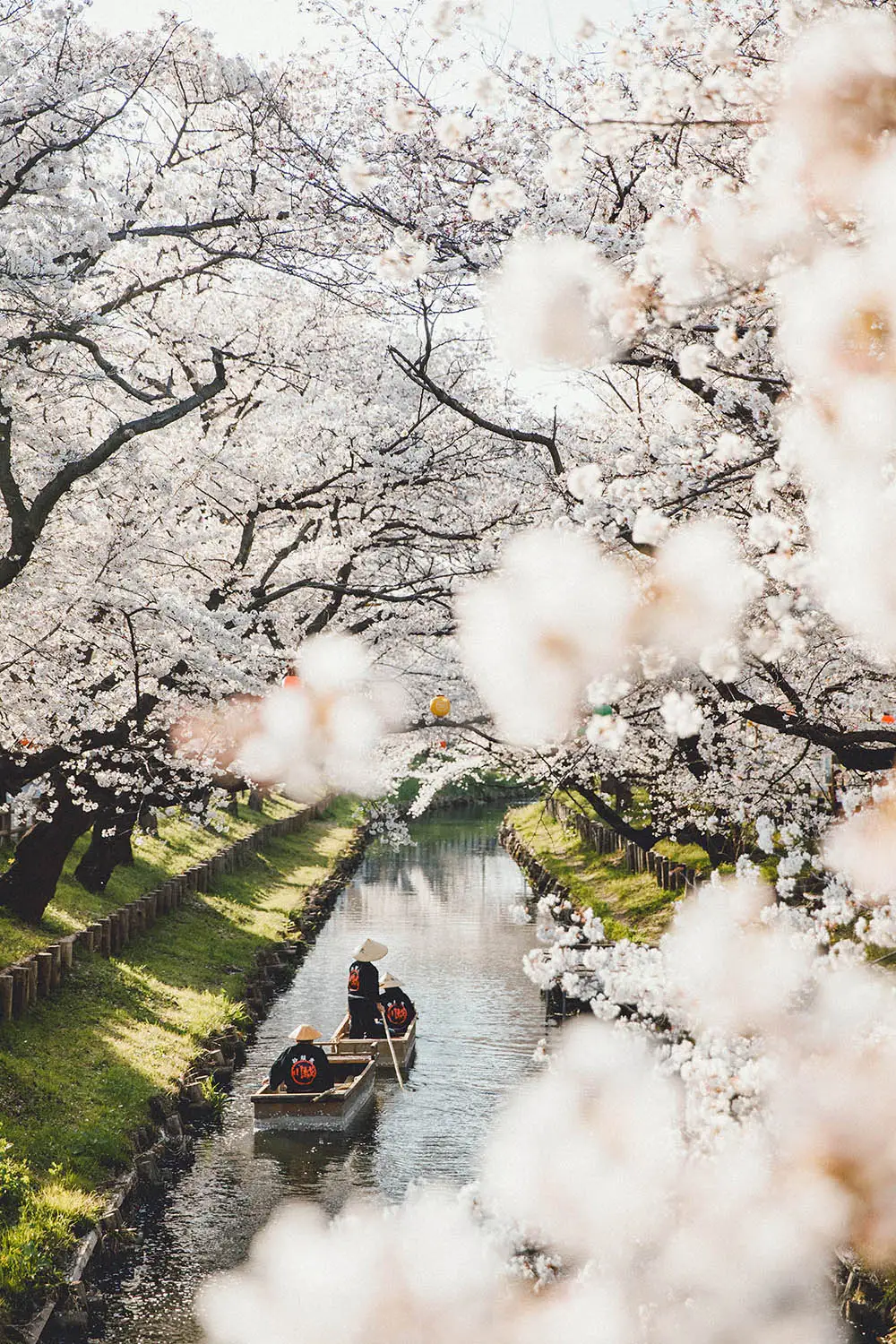 摄影师SamAlive风光摄影作品赏析