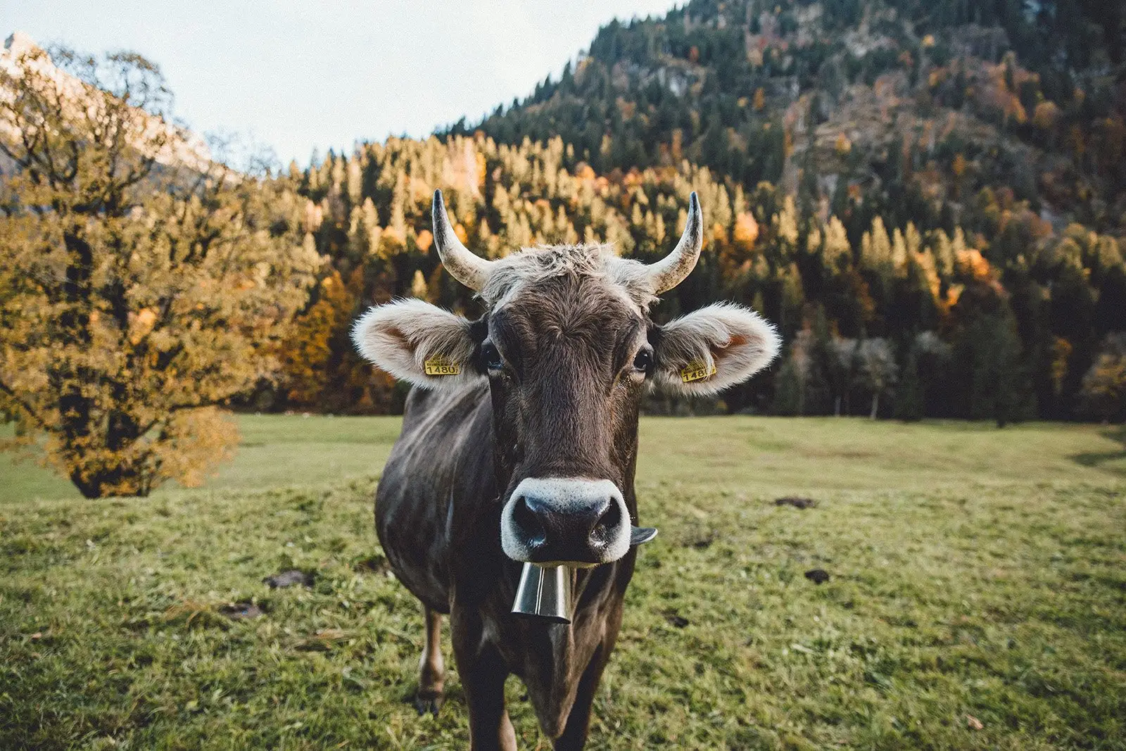 摄影师SamAlive风光摄影作品赏析