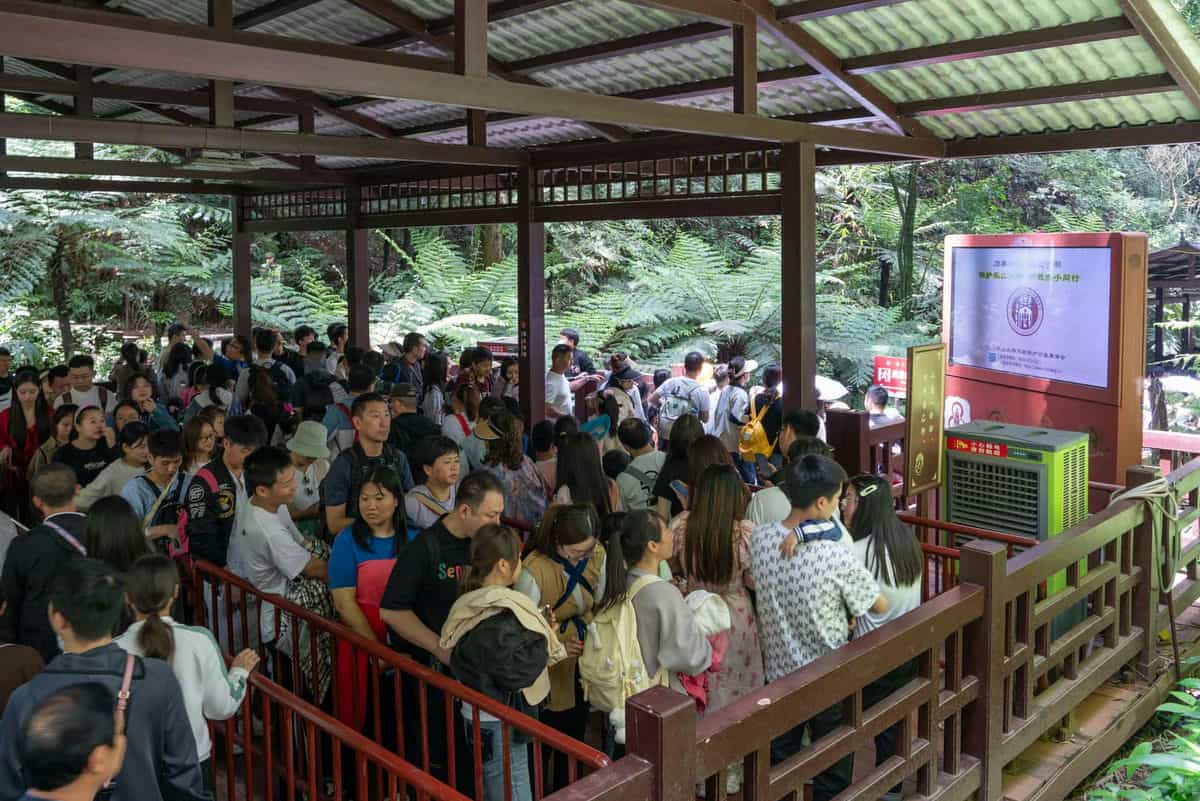 乐山大佛“下佛脚”排队人群