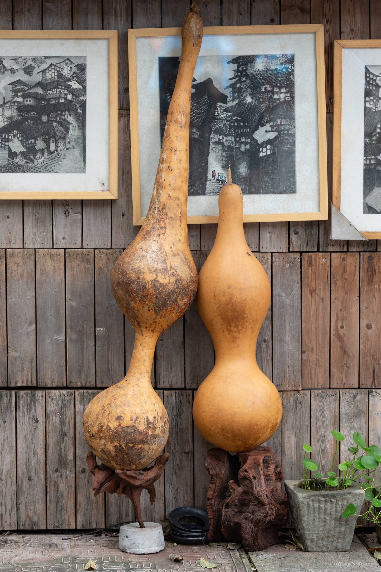 华岩寺赏荷，荷花摄影和后期分享