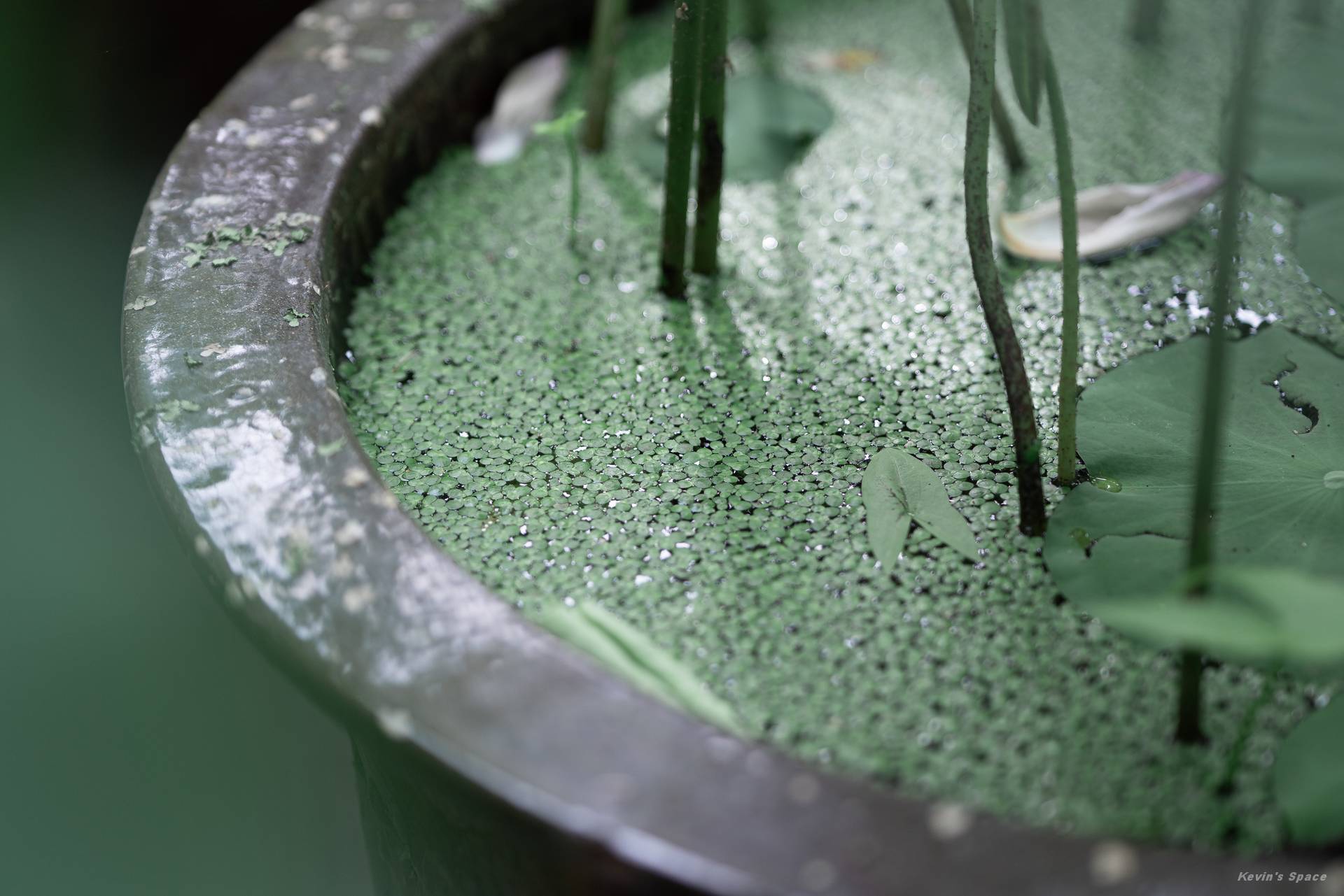 此片已裁切很多了，各位可以看看画质如何