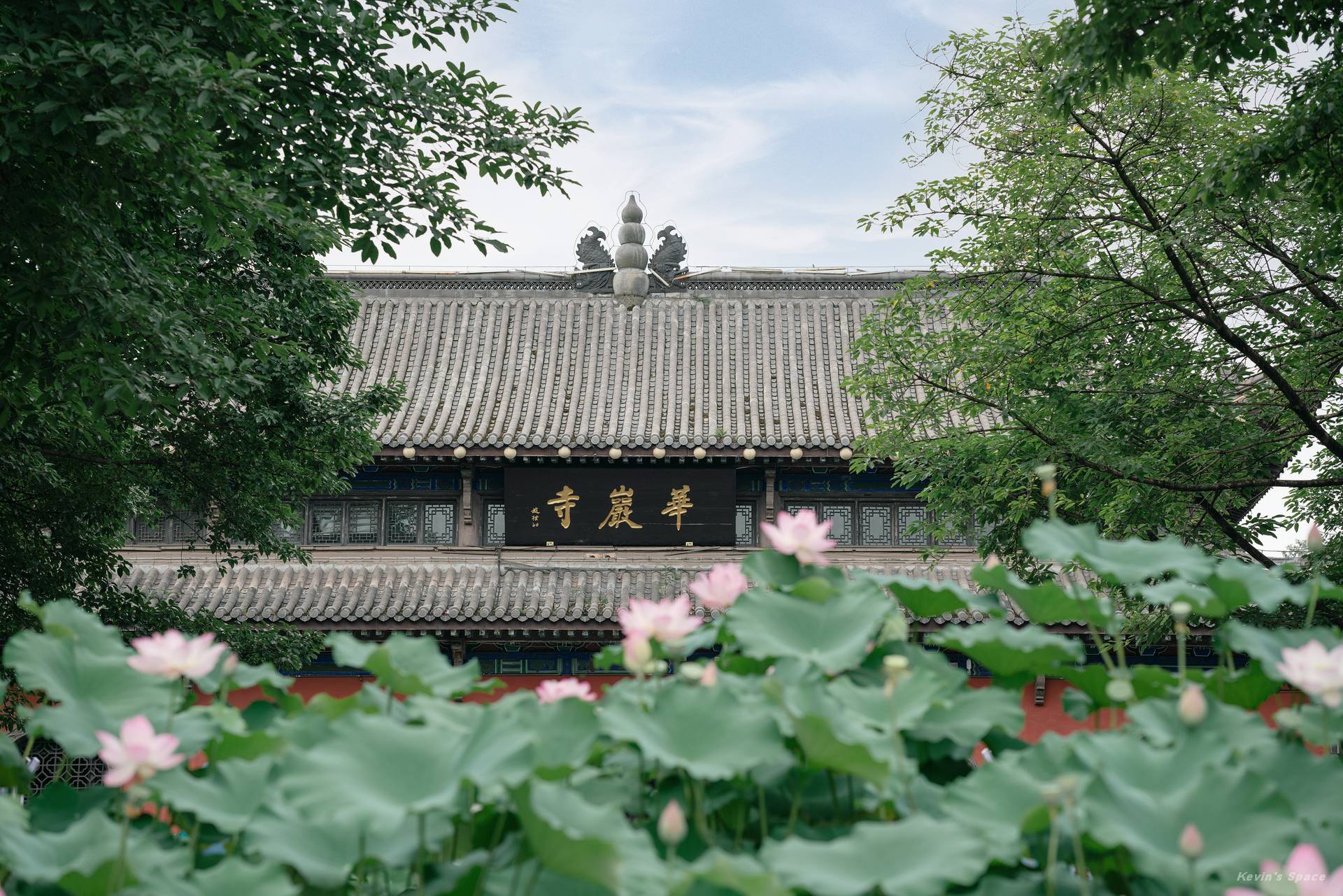 华岩寺赏荷 & 荷花摄影和后期分享 ?