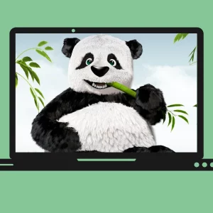 利用 WordPress TinyPNG 插件自动压缩上传的图像