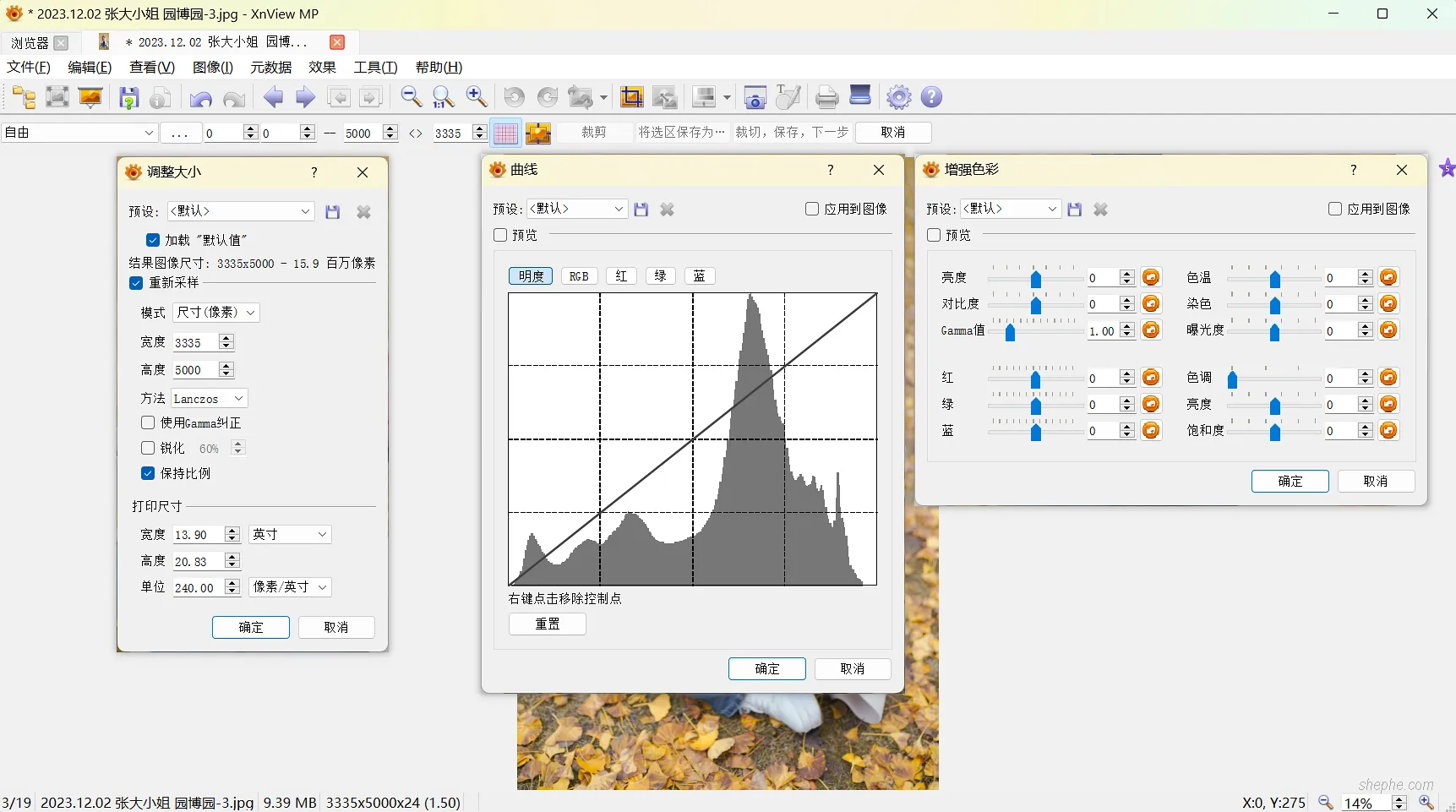 XnView MP 内置了曲线、色阶等工具