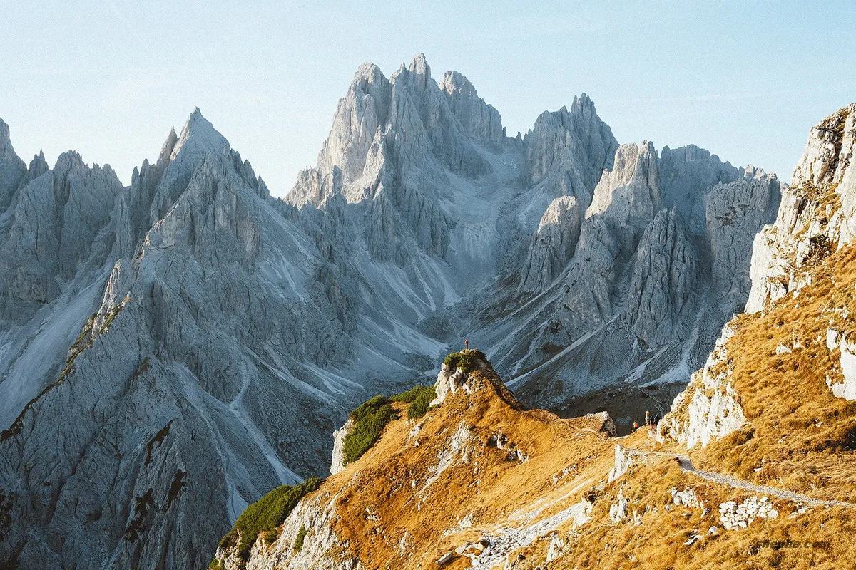 SamAlive 官方调色滤镜，PS / LR 调色预设下载📸