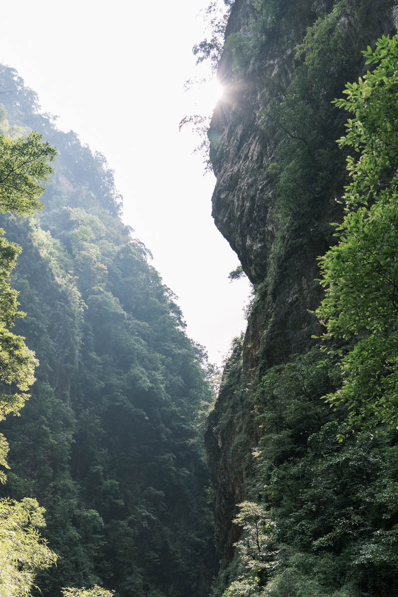 八月的一个周末，完成了一场金佛山徒步挑战赛