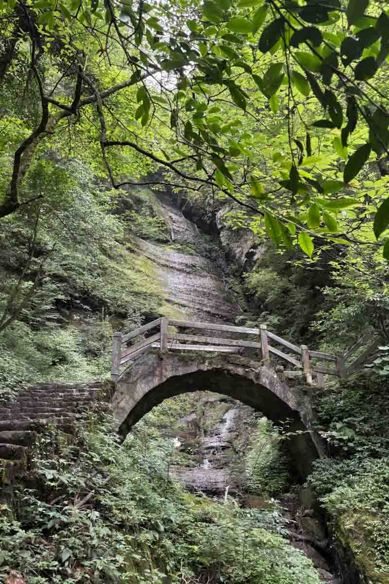 八月的一个周末，完成了一场金佛山徒步挑战赛